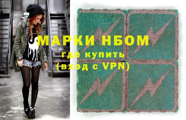индика Слюдянка