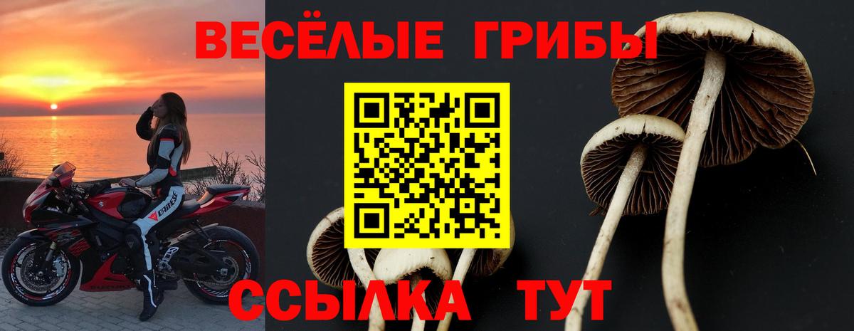 Псилоцибиновые грибы Psilocybe  Псилоцибиновые грибы MAGIC MUSHROOMS  купить  цена  Кунгур  Вход с VPN 